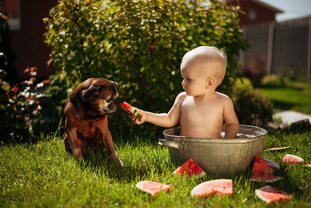 Photograph by Анна Бобкова