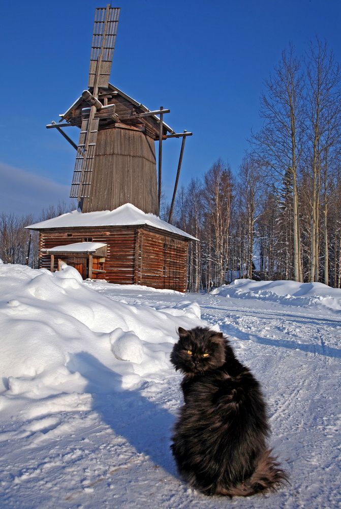 Photograph by Бибичков Михаил