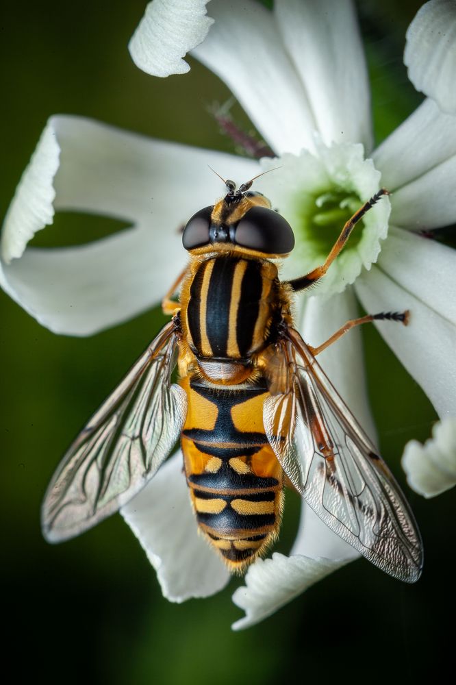 Фотография автора Игорь Васильев