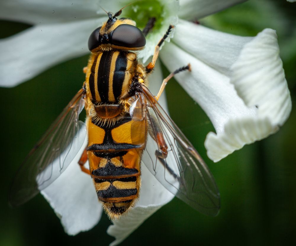 Фотография автора Игорь Васильев