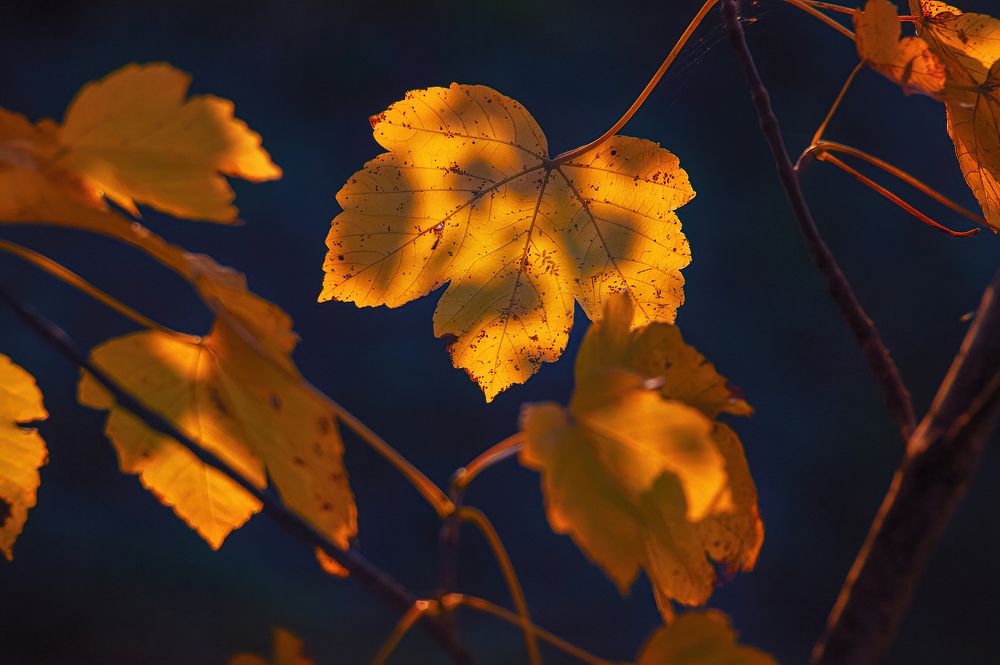 Photograph by Владимир