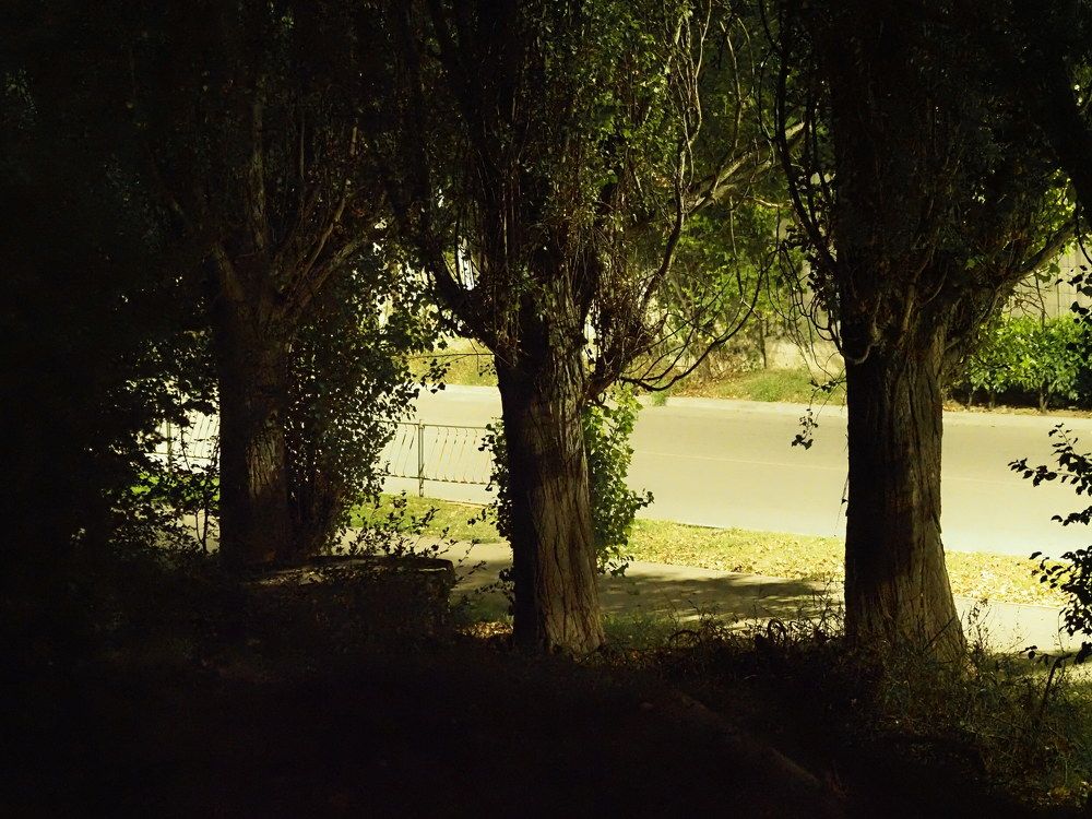 Photograph by Сергей Борисов