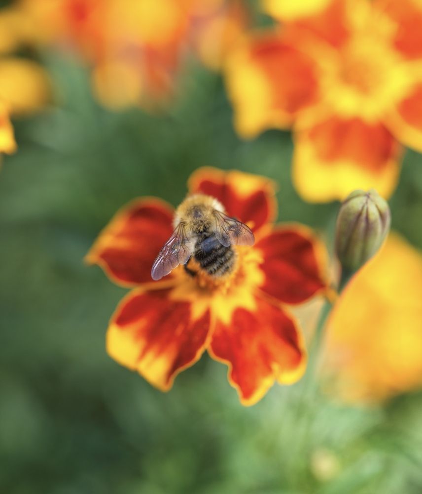 Photograph by Damian Kozik