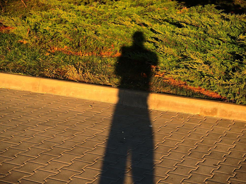 Photograph by Сергей Борисов