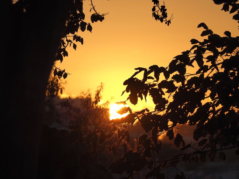 Photograph by Сергей Борисов