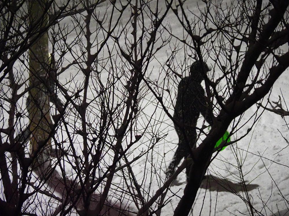 Photograph by Сергей Борисов