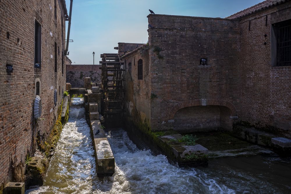 Photograph by Александр Журавлев