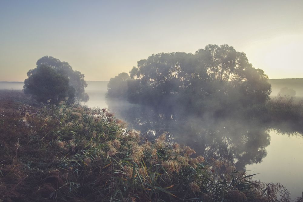 Photograph by Штунь Татьяна