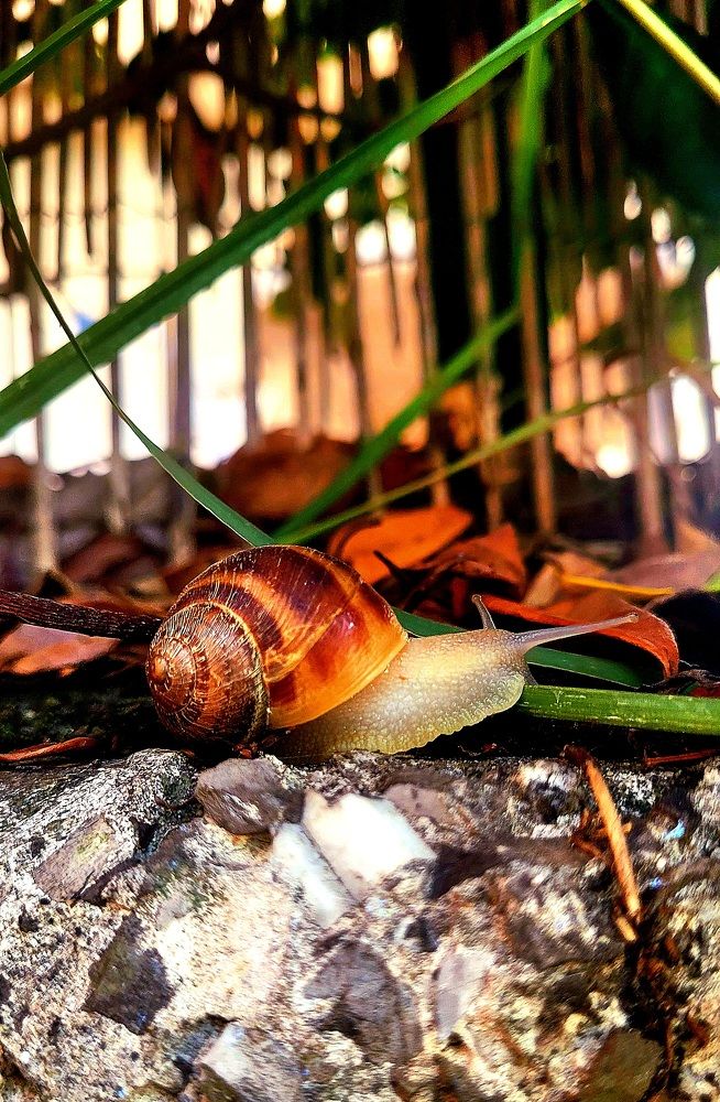 Photograph by claudia