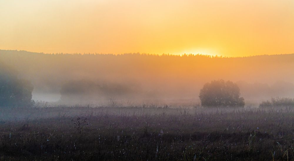 Photograph by Штунь Татьяна