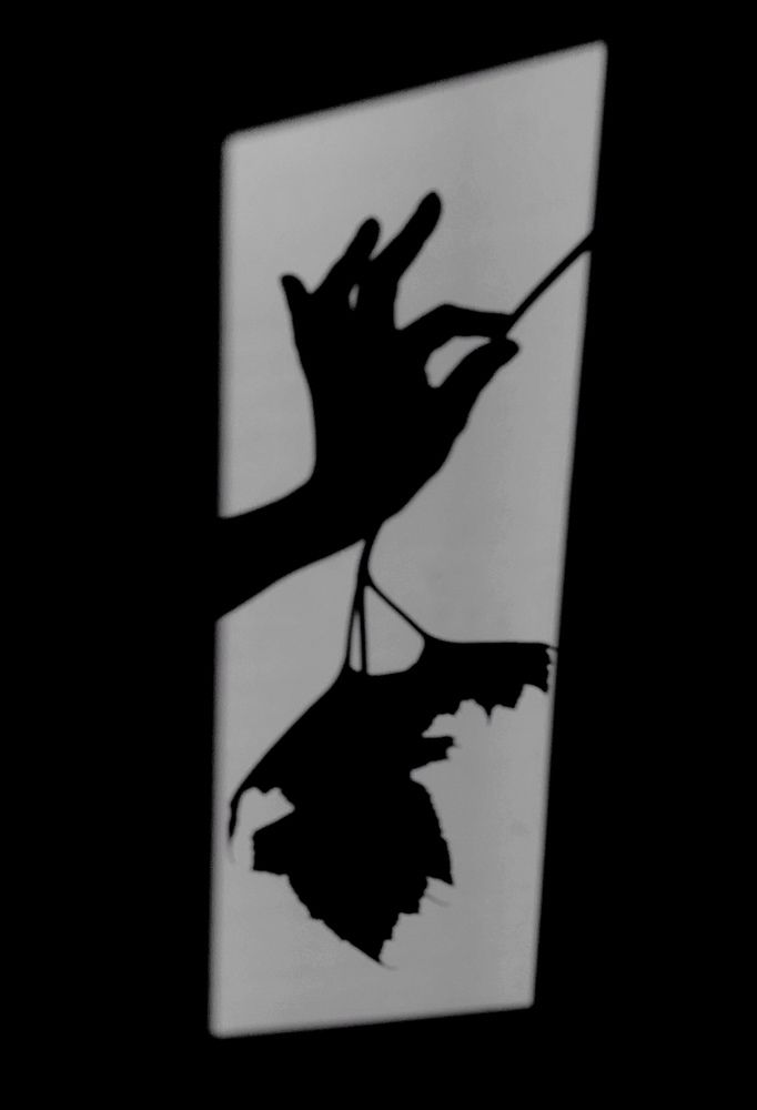 Фотография автора Наталия