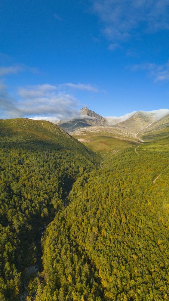 Photograph by Денис Рокин