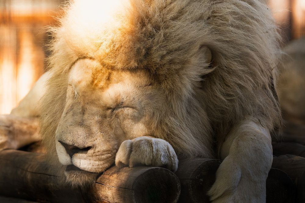 Photograph by Ирина Подгорная