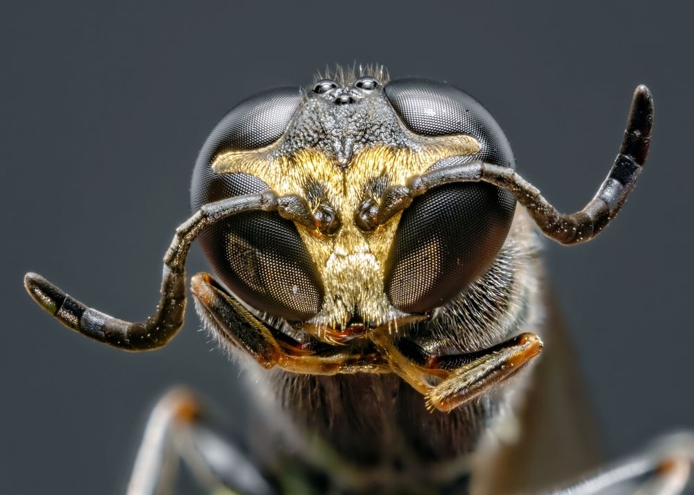 Photograph by Renato Fernandes Bandeira