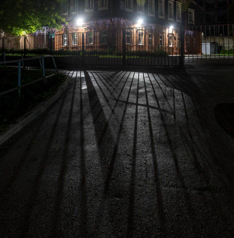 Photograph by Владимир Зубов