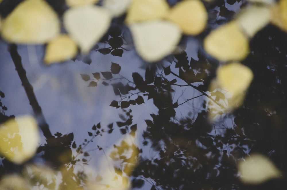 Photograph by Ульяна Бедрицкая