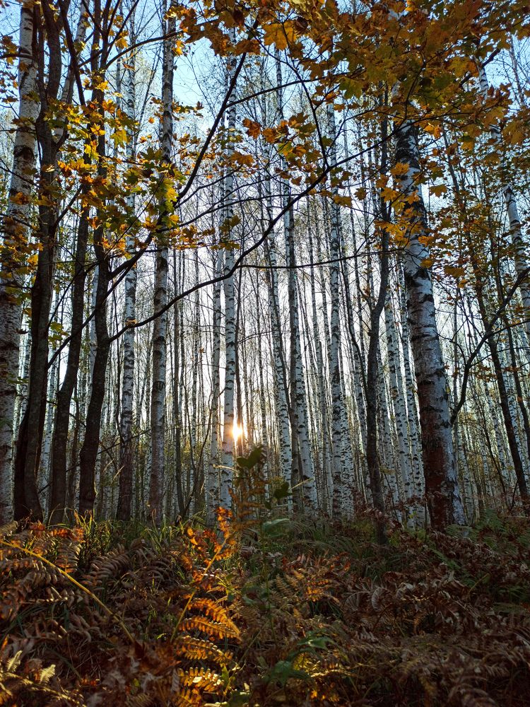 Photograph by Наталья