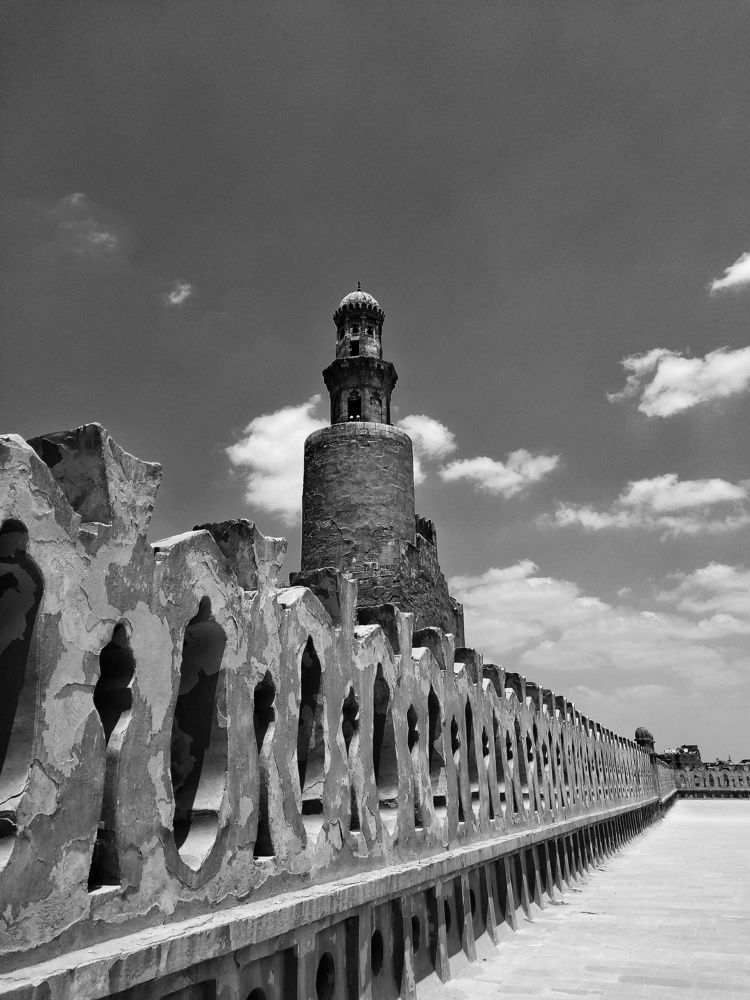 Photograph by MOHAMMED Saeed