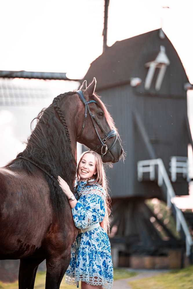 Klassischer holländischer Charme: Friesenpferd in der Windmühle