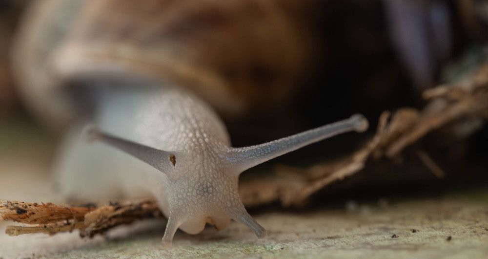 Фотография автора DIMITRIS MPAZIOTOPOULOS