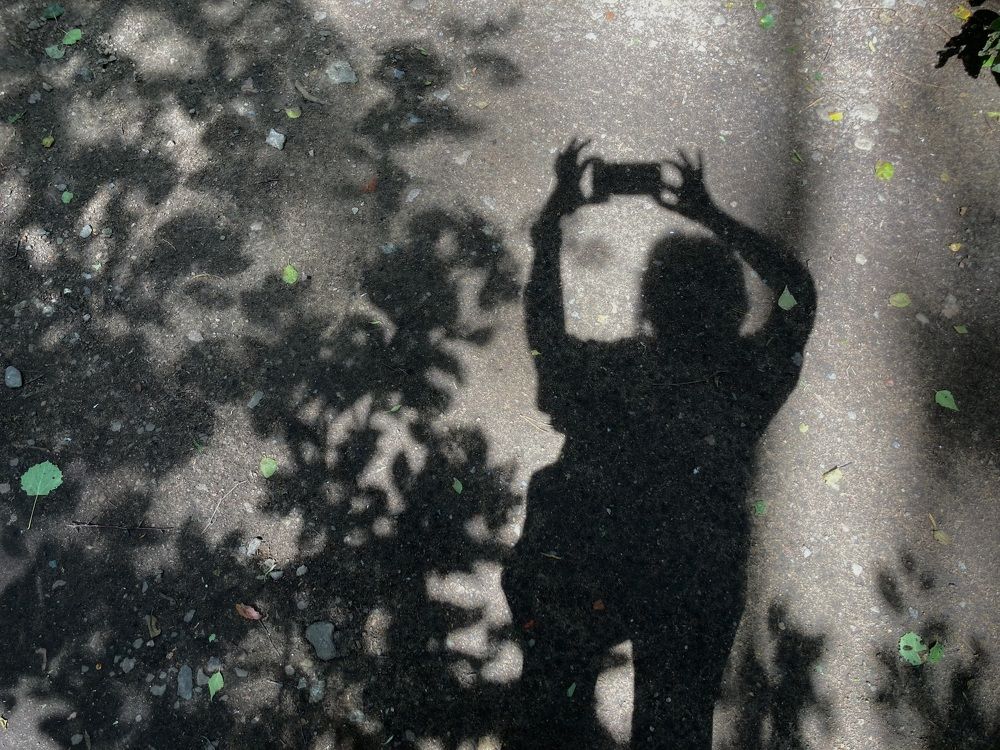 Фотография автора Алина Павлова