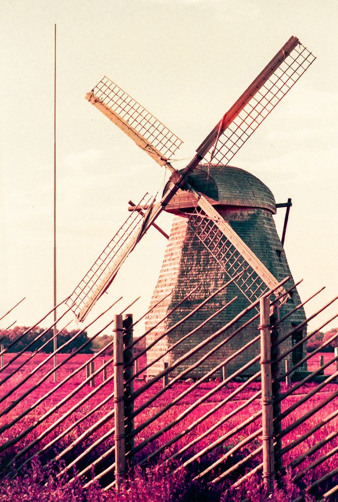 Фотография автора Баронов Фёдор