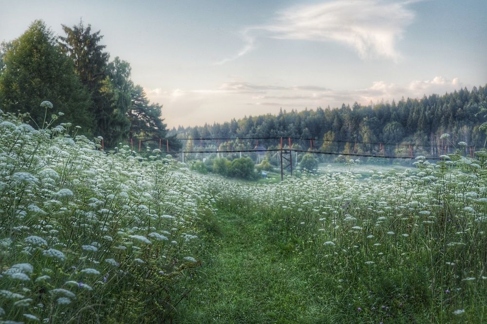 Аромат лета