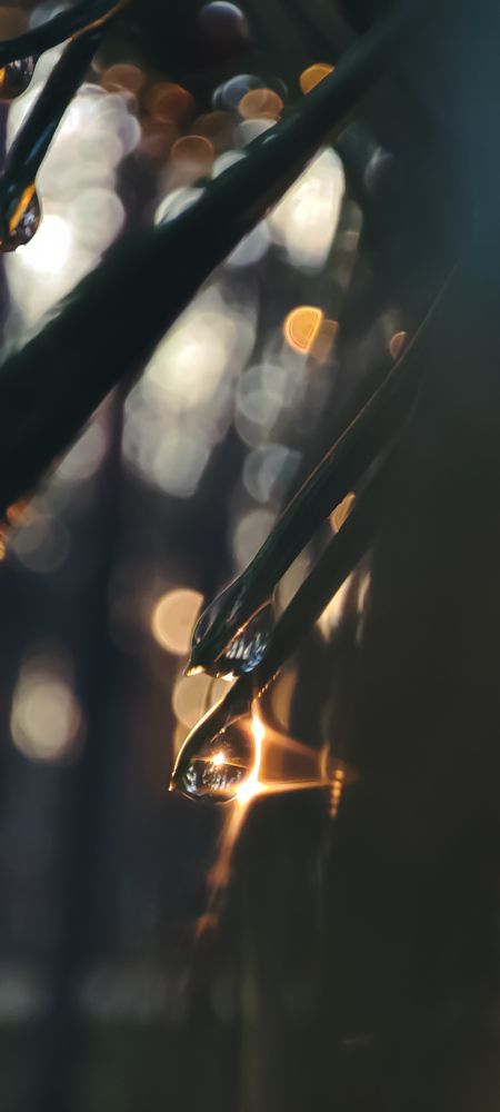 Photograph by Виктория