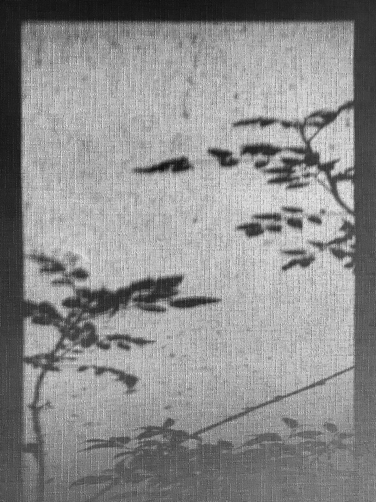 Photograph by Михаил Некрасов