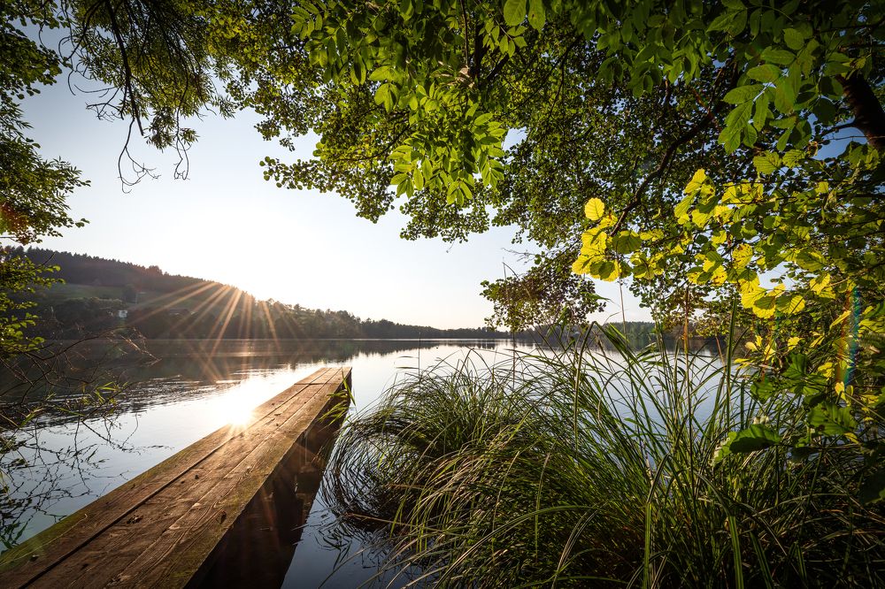 Peaceful evening by the lake
