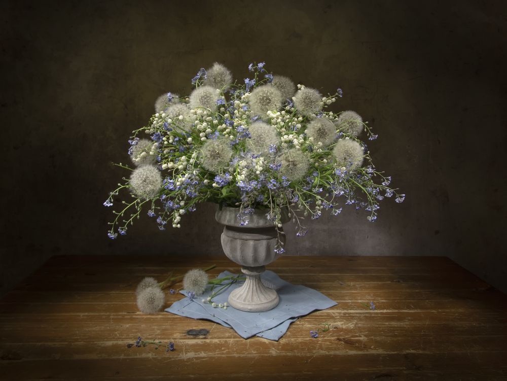 Photograph by Tatyana Fedenkova