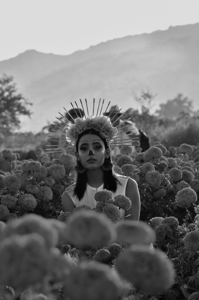 Фотография автора francisco castillo