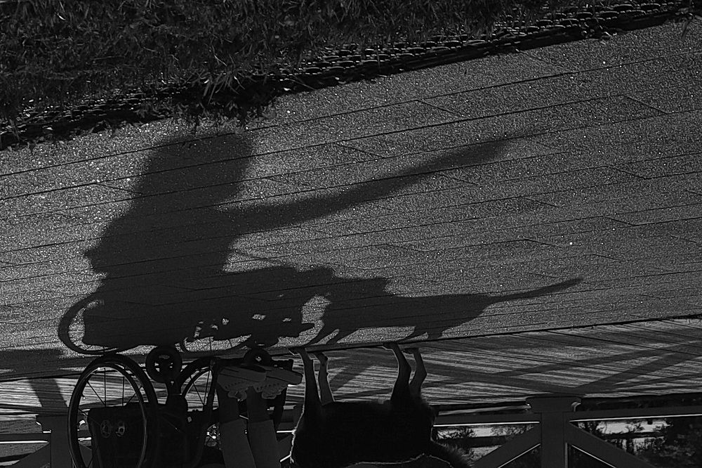 Фотография автора Колосова Елена