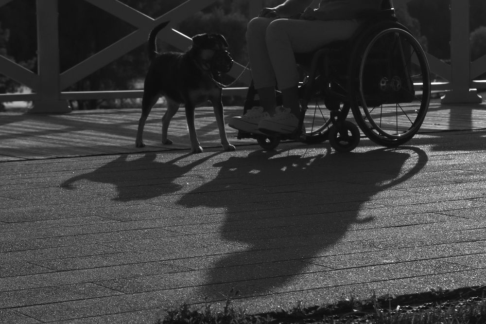 Фотография автора Колосова Елена