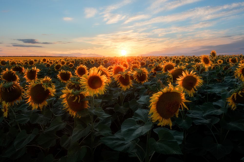 Фотография автора Мартыненко Дмитрий