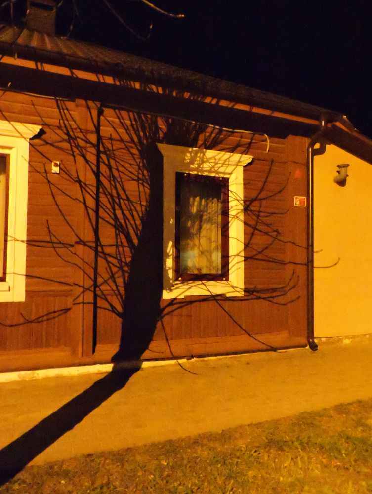 Photograph by Tatiana