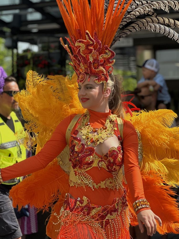 Фотография автора Anna Tikka