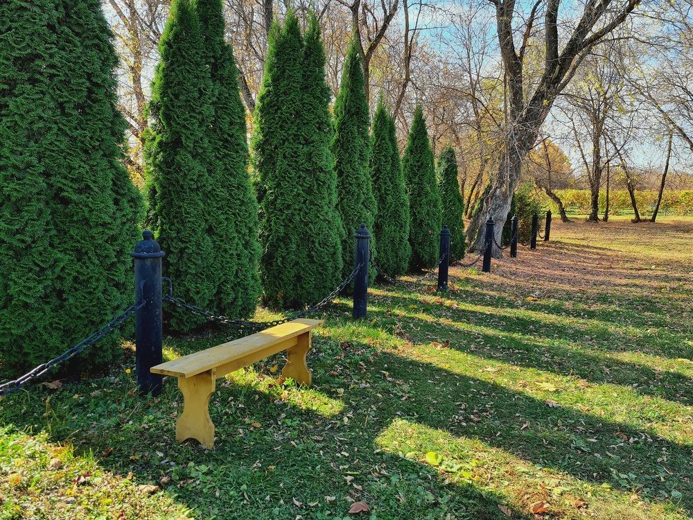 Photograph by Елена Квасова