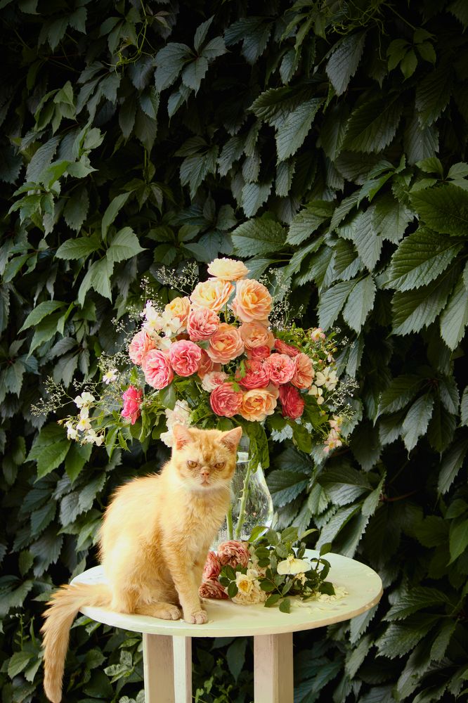 Photograph by Dina Garipova