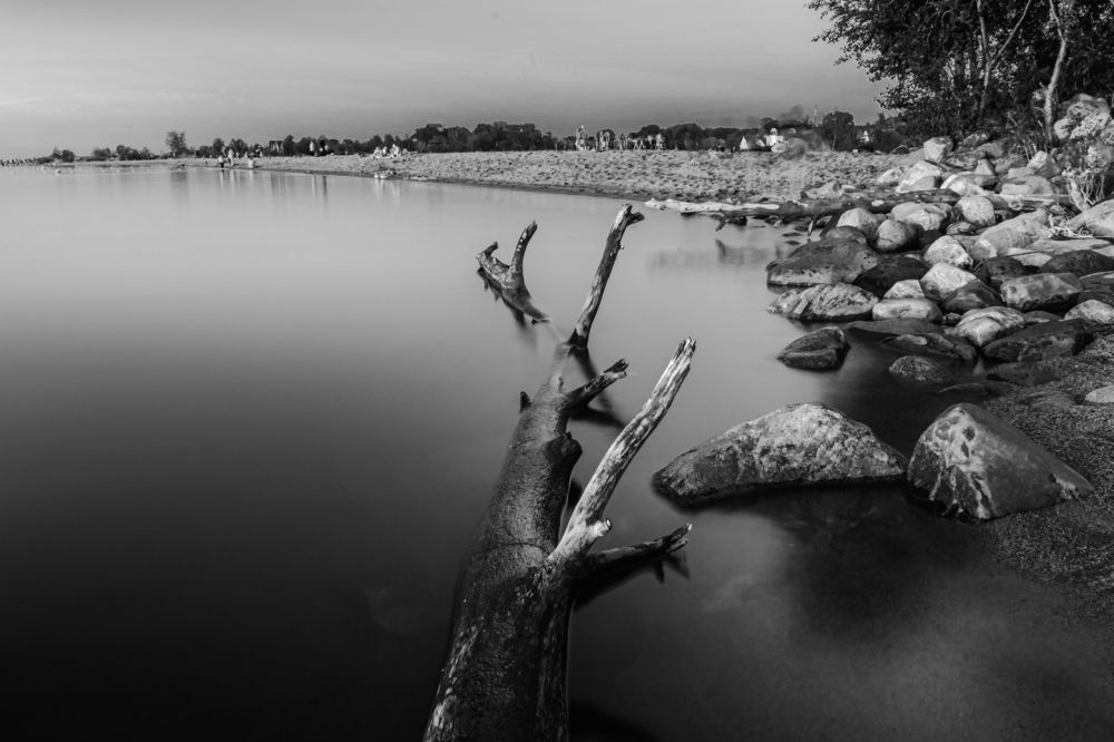 Photograph by Элен Пройс