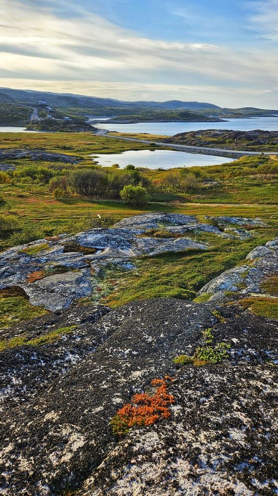 Photograph by Оксана Новикова