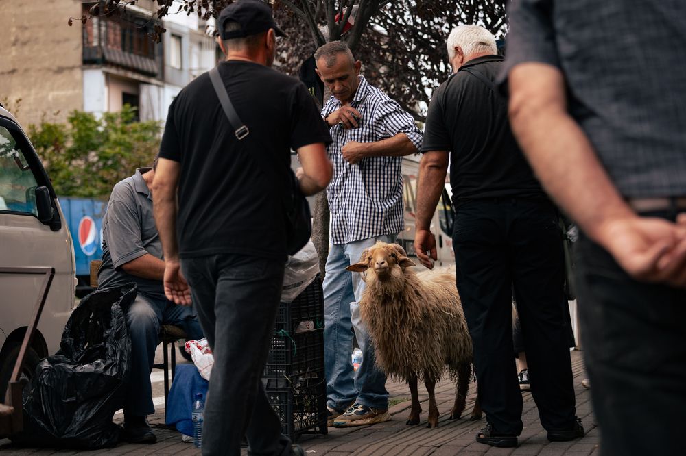 Ручной баран