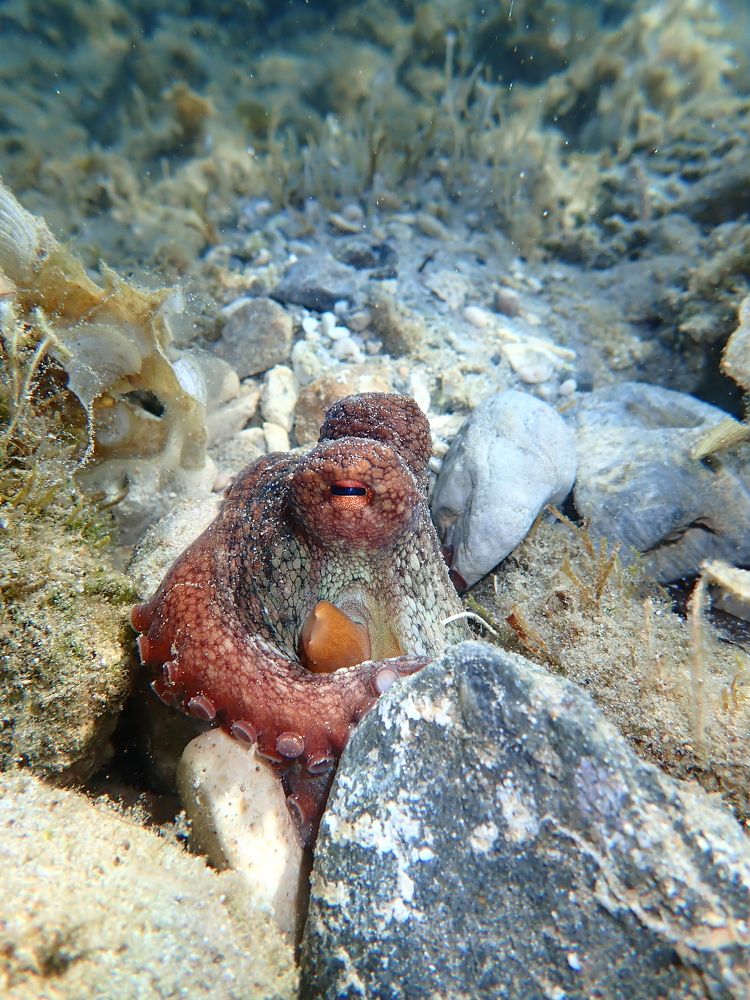 Фотография автора Sotiris Makrygiannis