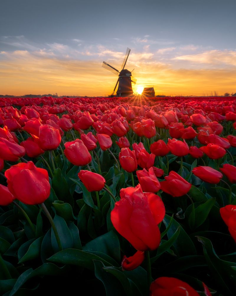 Photograph by Cigdem AYYILDIZ