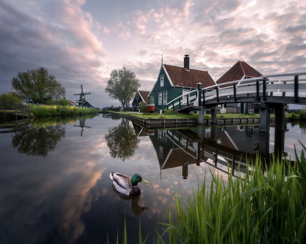 Photograph by Cigdem AYYILDIZ