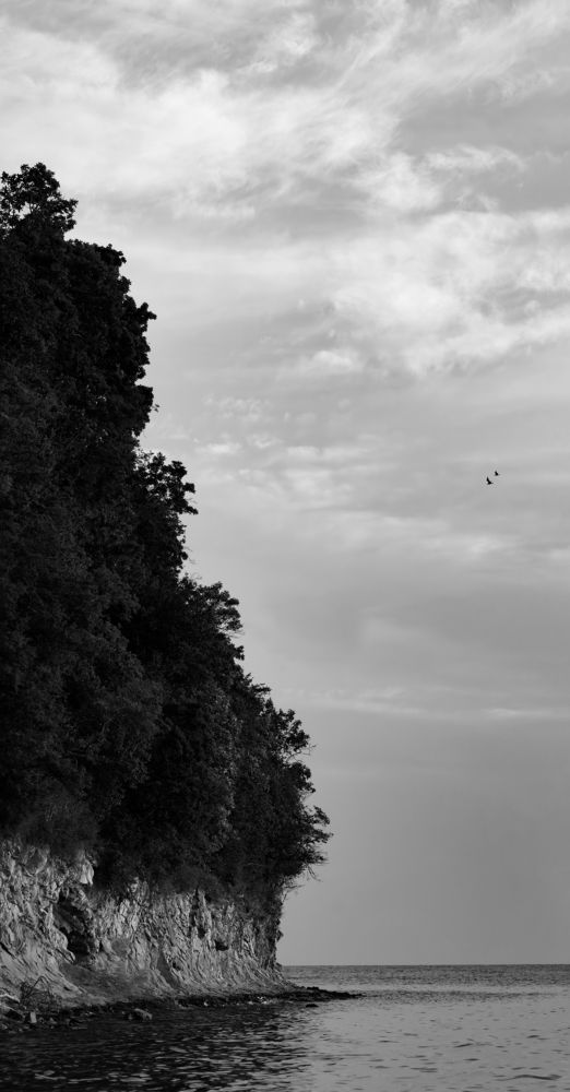 Photograph by Андрей Соловьянов