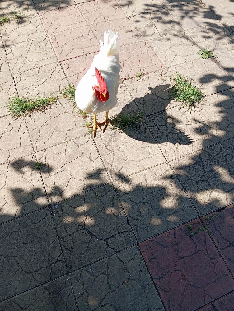 Photograph by Елена Коробченко