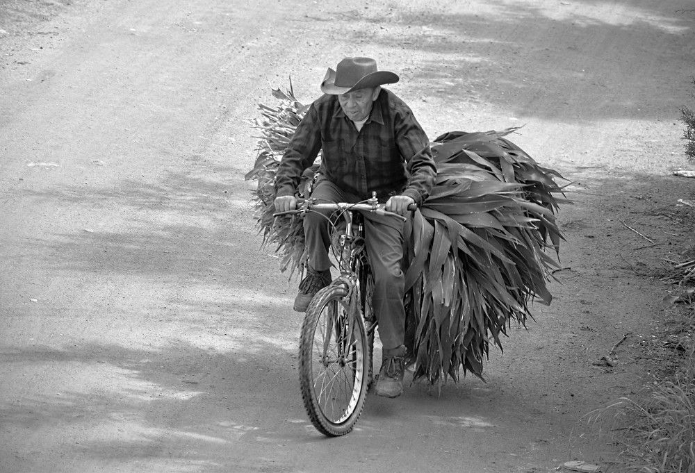No hay retiro para un campesino.
