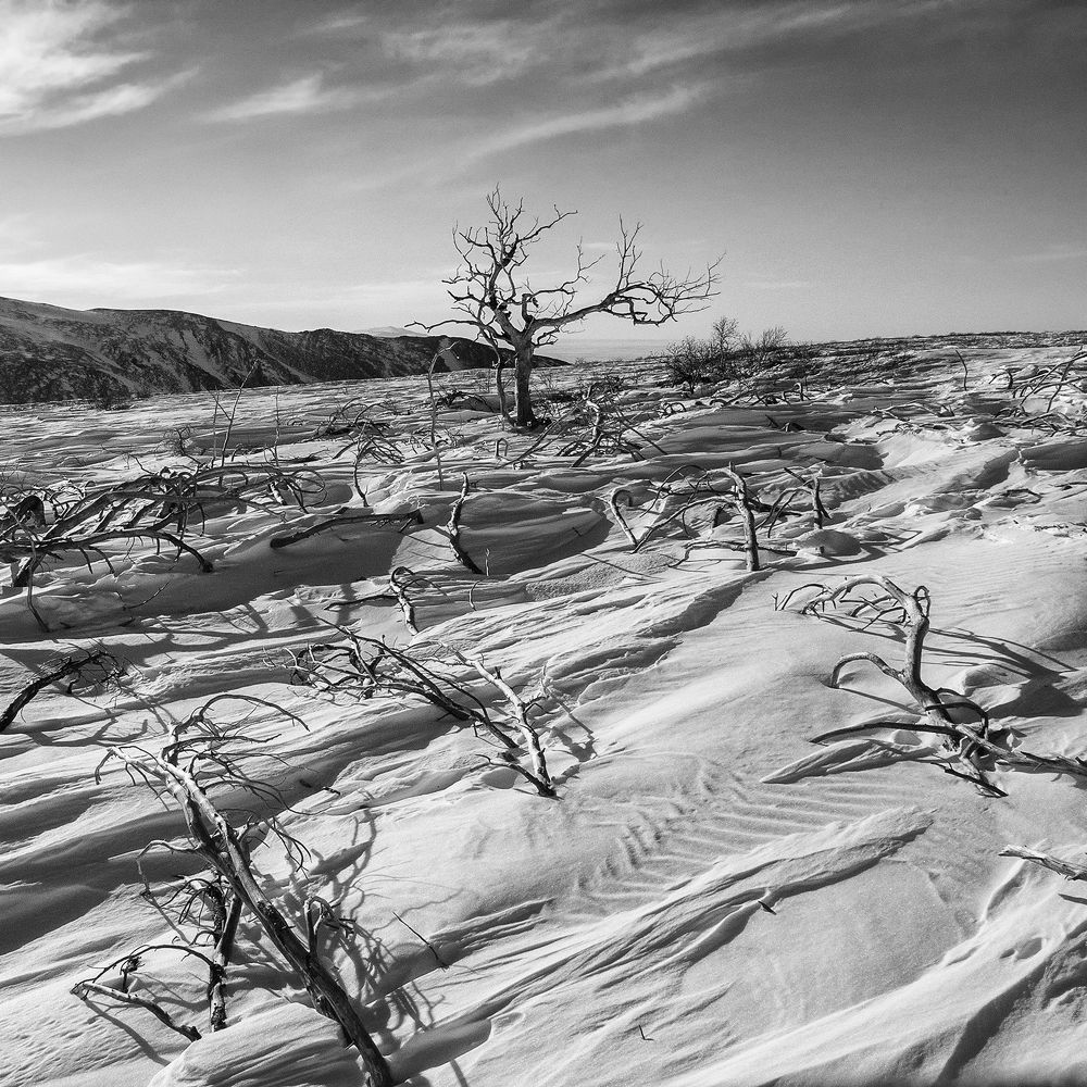 Противостояние