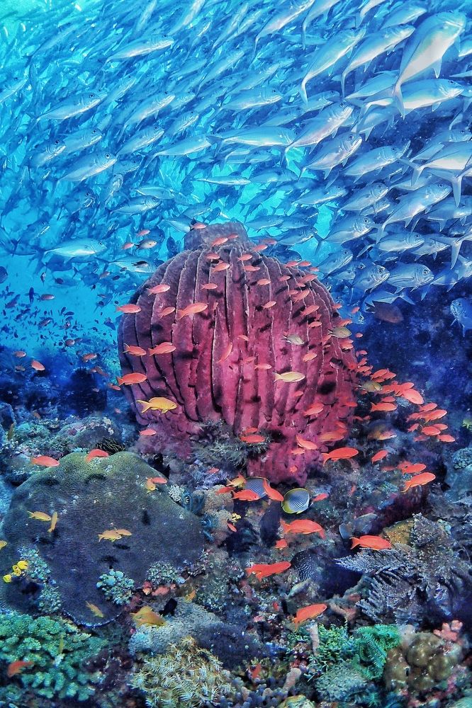 Photograph by Penn De Los Santos